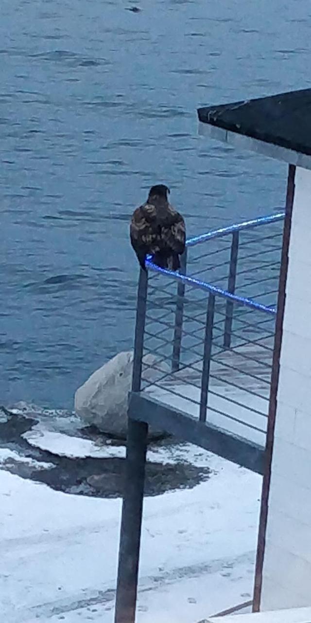 Отель Eagle View Нуук Экстерьер фото