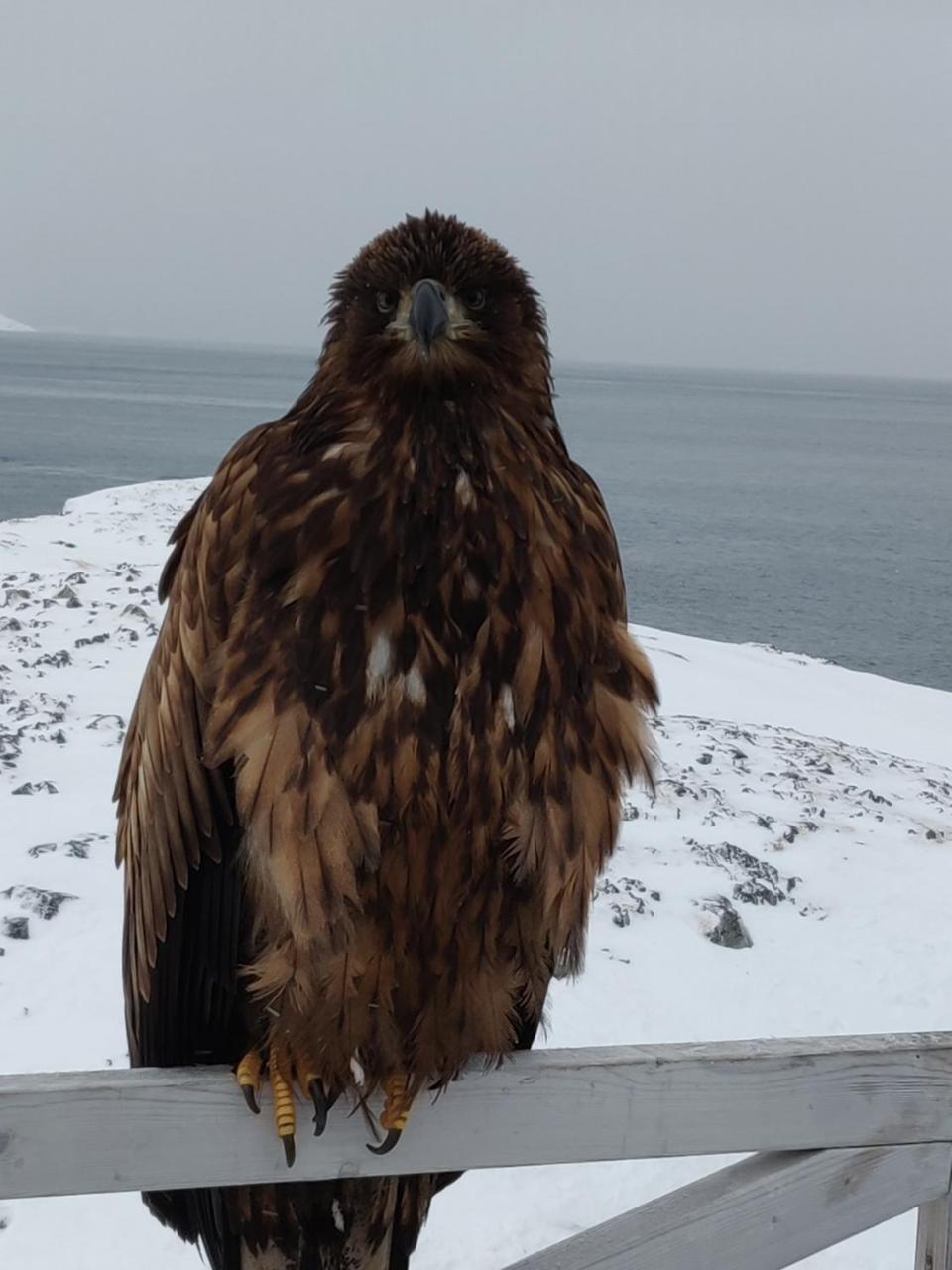 Отель Eagle View Нуук Экстерьер фото